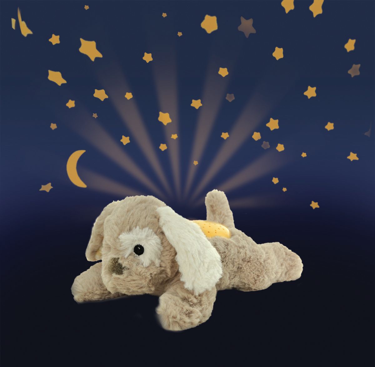 Dream Buddies - Valp